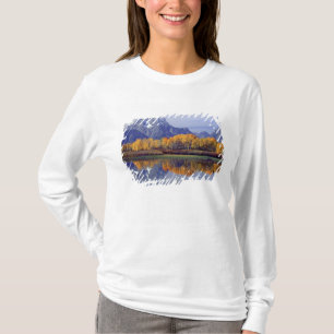 Camiseta EUA, Wyoming, Parque Nacional Grand Teton. Mt.