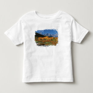 Camiseta EUA, Wyoming, Parque Nacional Grand Tetons em