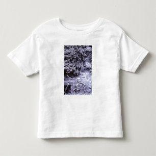 Camiseta Europa, Alemanha, Baden, Wurttemberg, Heidelberg. 