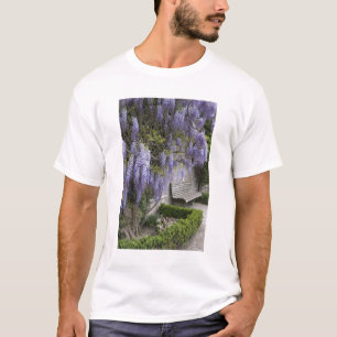 Camiseta Europa, Áustria, Salzburg Stadt, Salzburg,