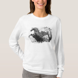 Camiseta Europa, Áustria, Salzburgo. Estátua de cavalo alad