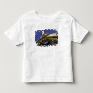 Camiseta Europa, França, Paris, Torre Eiffel, noite 2