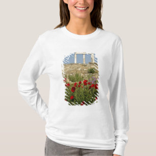 Camiseta Europa, Grécia, Cíclades, Delos. Ruínas de colu