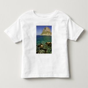 Camiseta Europa, Grécia, Peloponnese, Monemvasia. O