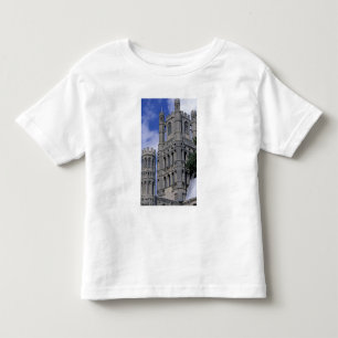 Camiseta Europa, Inglaterra, Cambridgeshire, Ely. Ely