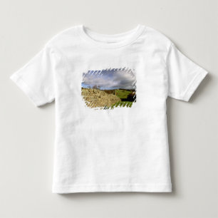 Camiseta Europa, Inglaterra, Northumberland. Muro de Adrian