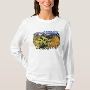 Camiseta Europa, Itália, Santa Magdalena. O minúsculo