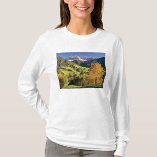 Camiseta Europa, Itália, Santa Magdalena. O minúsculo