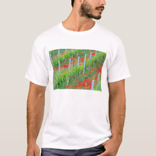 Camiseta Europa, Itália, Toscana. Cópias vermelhas colori