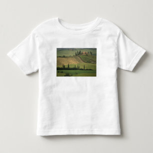 Camiseta Europa, Itália, Toscana, Val d' Orcia, Toscano