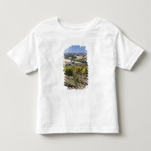 Camiseta Europa, Itália, Úmbria, perto de Montefalco, Vinha