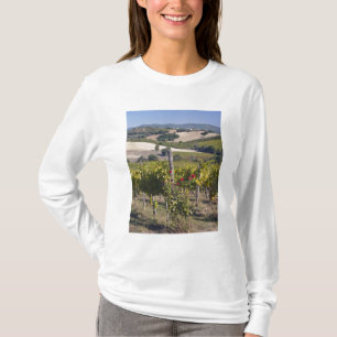 Camiseta Europa, Itália, Úmbria, perto de Montefalco, Vinha