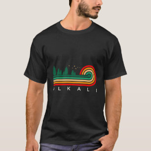 Camiseta Evergreen Vintage Stripes Alkali Nevada