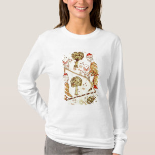 Camiseta Exame e delimitação da terra
