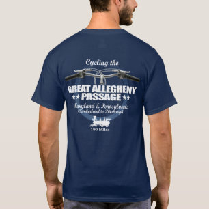 Camiseta Excelente Alegadamente Passagem (H2)
