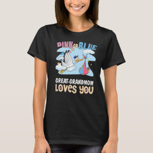 Camiseta Excelente rosa ou azul, a avó ama-te a melhor avó