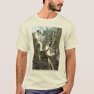 Camiseta Exposição ao sol dos lemurs de Sifaka