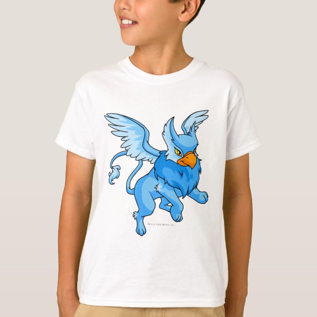 Camiseta Eyrie Blue (Frente)