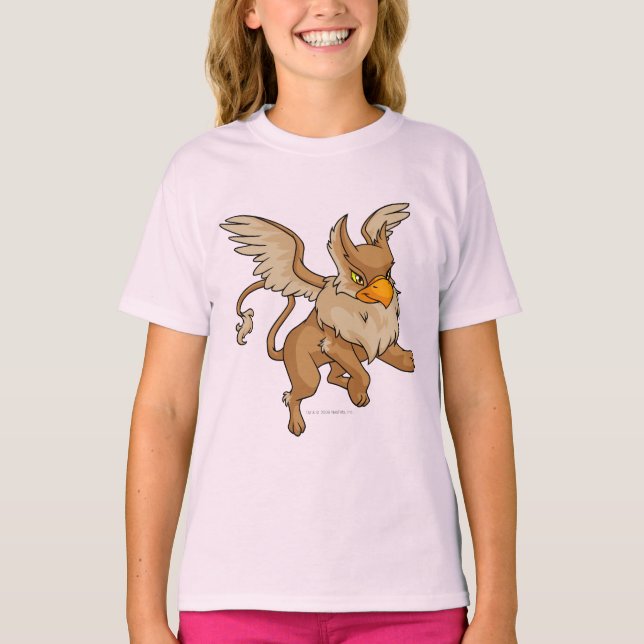 Camiseta Eyrie Brown (Frente)