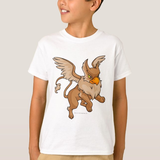 Camiseta Eyrie Brown (Frente)