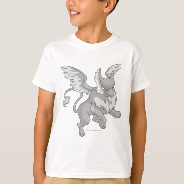 Camiseta Eyrie Silver (Frente)