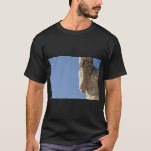 Camiseta Facepalm