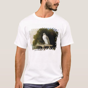 Camiseta Falcão de Greenland (falcão cinzento), 1780 (ól