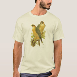 Camiseta Falcão de peregrino (babylonicus do peregrinus de