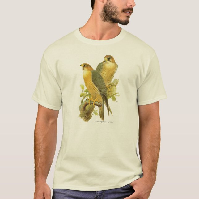 Camiseta Falcão de peregrino (babylonicus do peregrinus de (Frente)