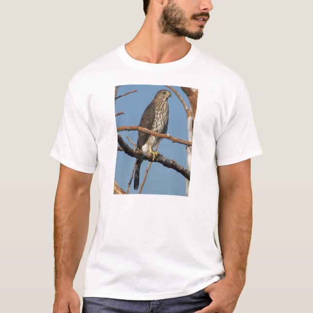 Camiseta Falcão dos tanoeiros (Frente)