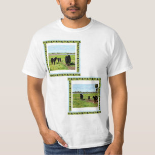 Camiseta Família de Vacas Galloway,