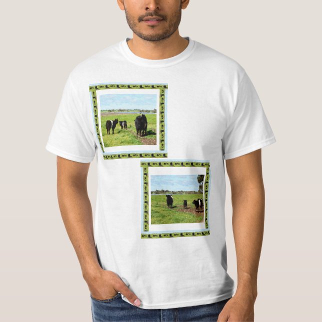 Camiseta Família de Vacas Galloway, (Frente)