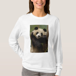 Camiseta Família do melanoleuca do Ailuropoda da panda