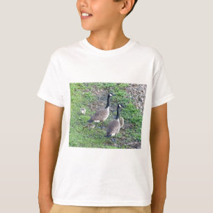 Camiseta Família Geese Canadense
