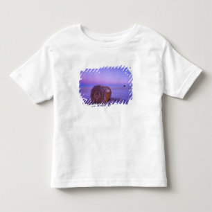 Camiseta Fardos de Palha de Inverno perto de Cartwright Nor