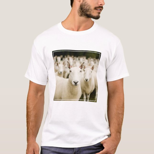 Camiseta Farms | Herd of Sheep (Frente)