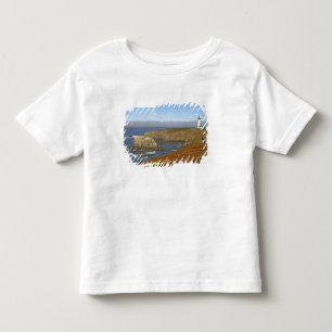 Camiseta Farol Yaquina Head em Newport Oregon