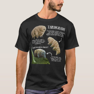 Camiseta Fatos de diversão tardígrados