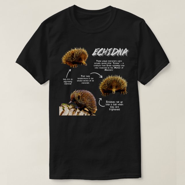 Camiseta Fatos Divertidos Echidna (Frente do Design)