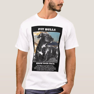 Camiseta Fatos do pitbull