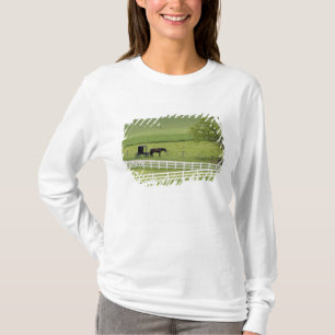 Camiseta Fazenda Amish com cavalo e carruagem perto de Berl