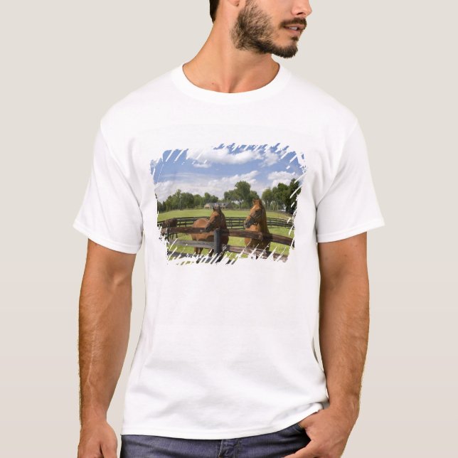 Camiseta Fazenda de cavalo puro-sangue no condado de Marion (Frente)