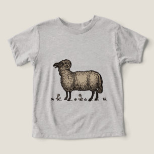 Camiseta Fazenda De Ovinos