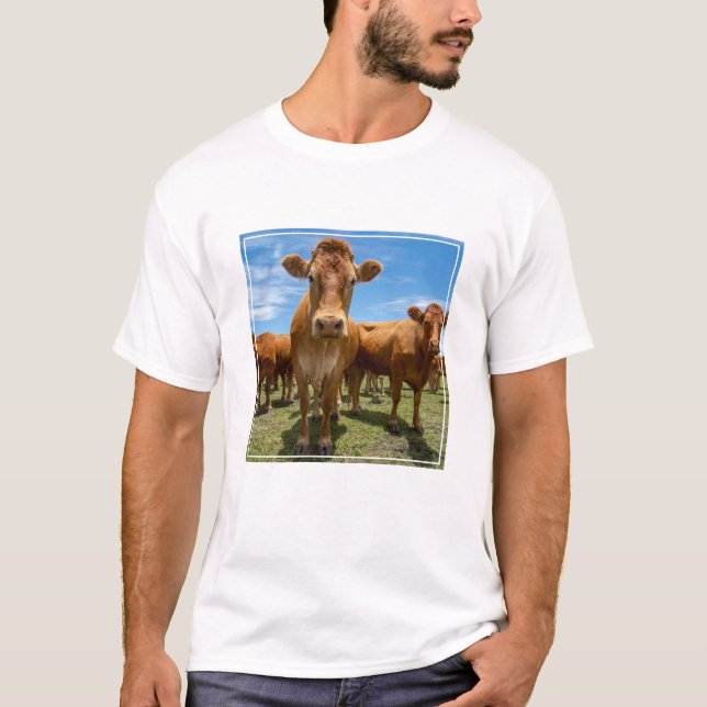 Camiseta Fazendas | Castanho (Frente)