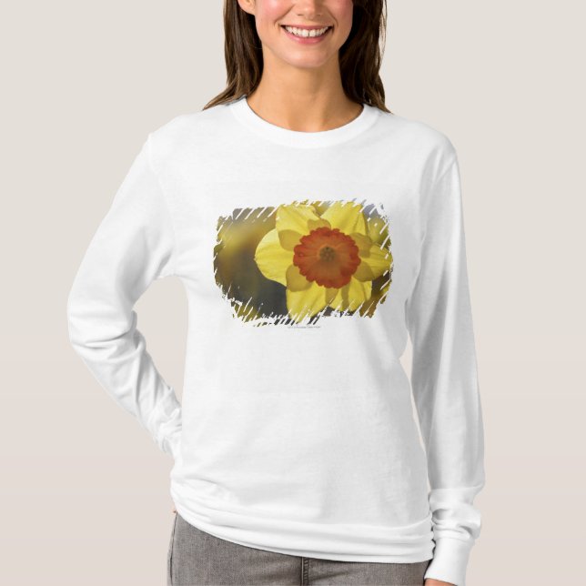 Camiseta Feche acima Daffodil amarelo/alaranjado (Frente)