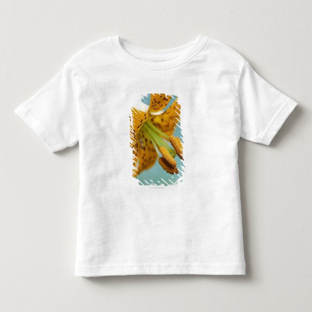 Camiseta Feche acima de um lírio amarelo (Frente)