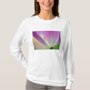 Camiseta Fecho da parte inferior da flor da tulipa, Kuekenh
