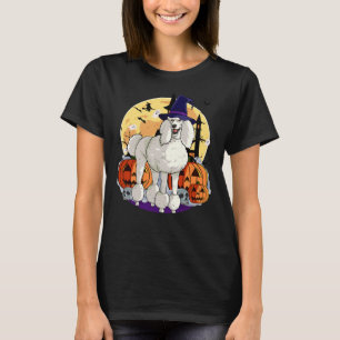 Camiseta Feiticeira de abóbora padrão do Halloween