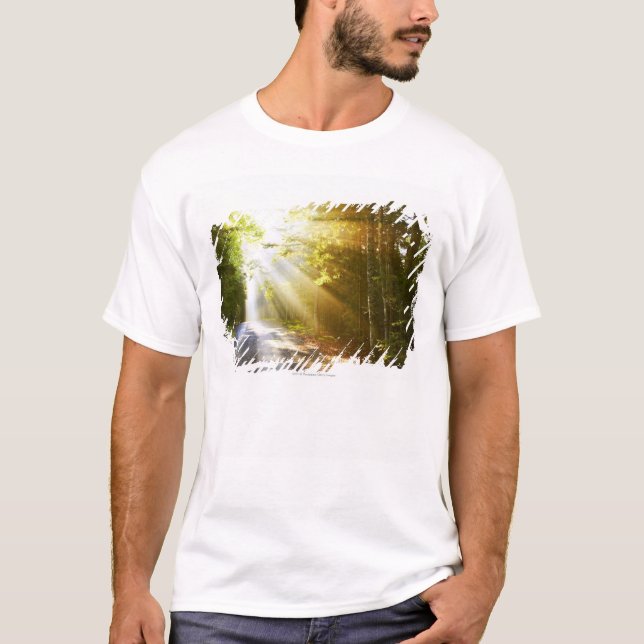 Camiseta Feixes de Sun através da floresta no parque (Frente)