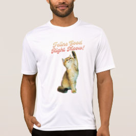 Camiseta Felino Bem Direito Mede Gato Engraçado Cotação Got